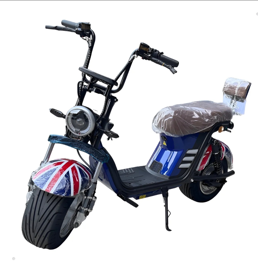 Scooter Moto Elétrico Adulto  X13 1000V