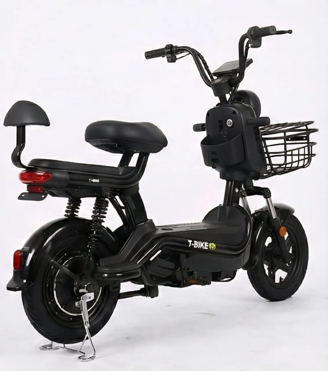 Bicicleta Elétrica 1000V