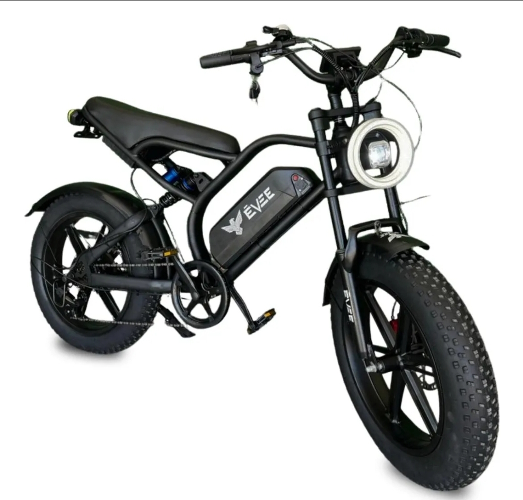 Bicicleta Scooter Moto Elétrico 1000V